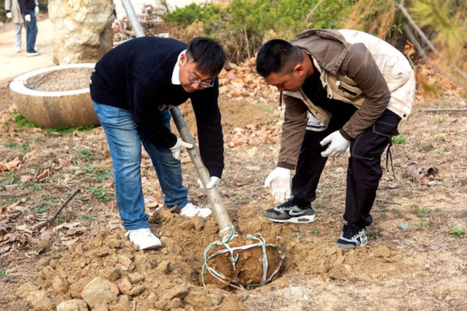 春風十里，植下一片綠 | 瑞源控股集團開展2023年植樹節(jié)系列活動